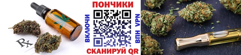 как найти наркотики  Дубовка  Cannafood конопля 