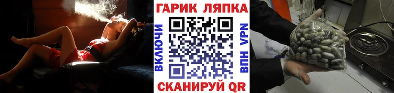 ГАШ гарик Дубовка