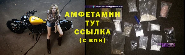 молекула духа Козловка