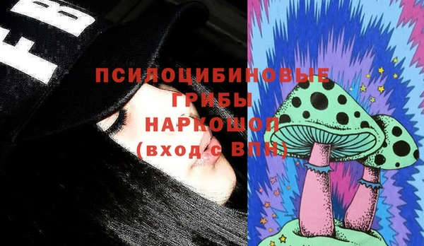 spice Беломорск