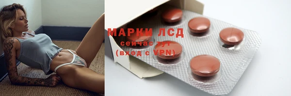 spice Беломорск