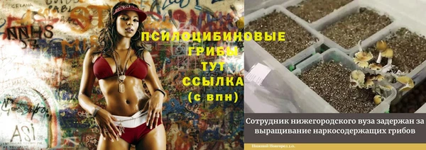 spice Беломорск
