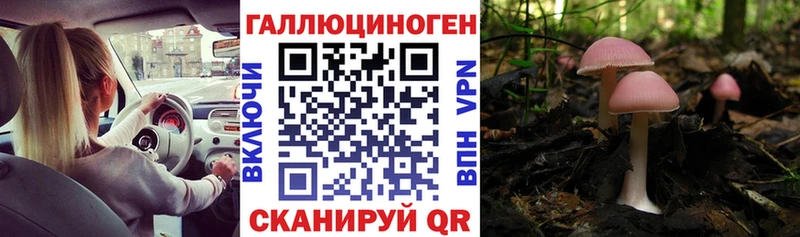 Псилоцибиновые грибы прущие грибы  Дубовка 